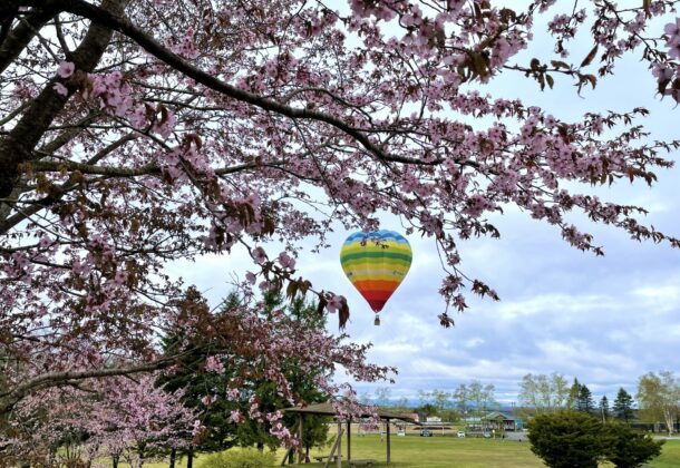 Early morning hot air balloon in Tokachi- children from 2 years old can join!