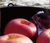 A small tent and a magic pot - Enjoy playing in the snow and making hot desserts in the forests of Furano