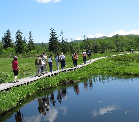 Niseko Trekking- Shinsen-numa Wetlands Course or Lake Hangetsu