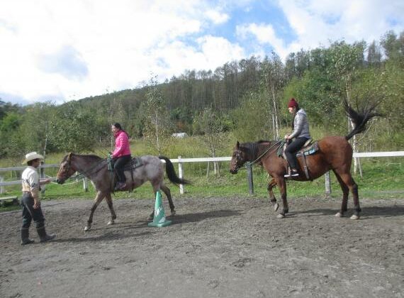 Beginner horse riding course in Furano- ride across the rolling hills!