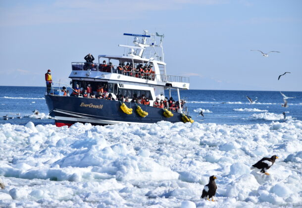Drift Ice and Bird Watching in Shiretoko