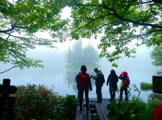 Guided walk of the Shiretoko Five Lakes- explore a World Heritage Site!