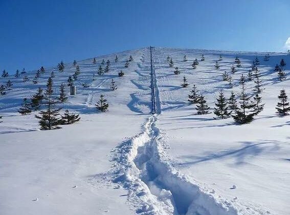 A Relaxing Snowshoe Tour at Moerenuma Park in Sapporo