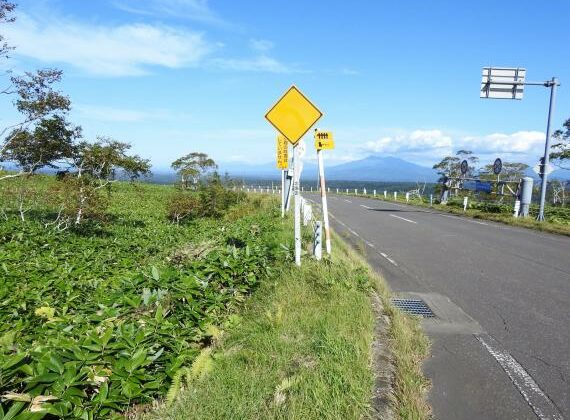 Downhill bike ride through the Akan-Mashu National Park- short course!