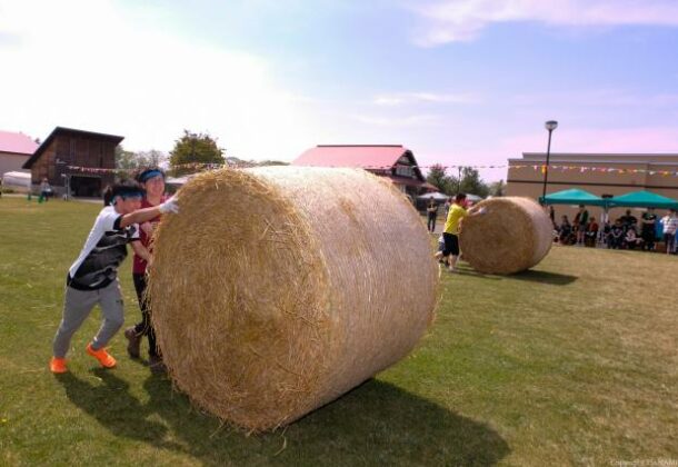 The Agrilympics! Join a team-building agricultural sports day in Tokachi!