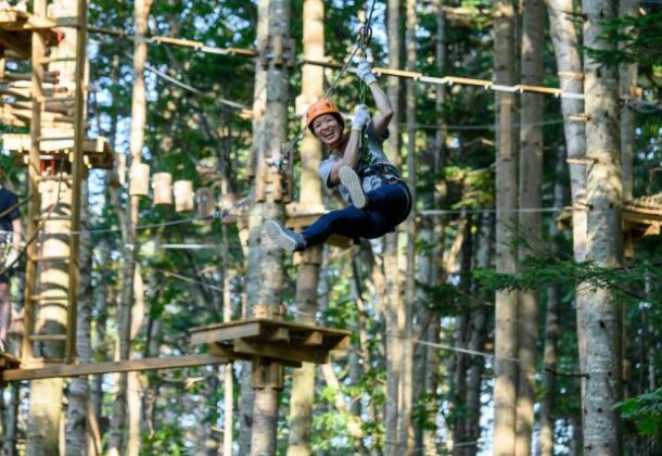 The largest tree trekking tour in Hokkaido - Get advice from a professional Niseko guide!