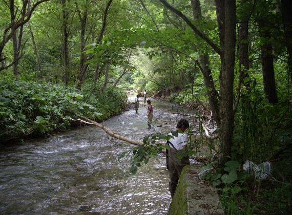 Furano mountain stream fishing with barbecue lunch!