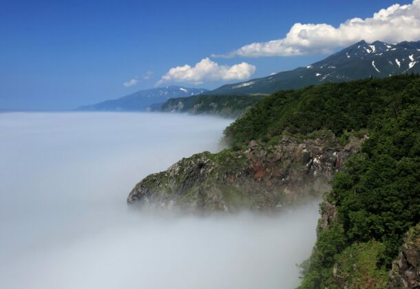 Shiretoko forest trekking- the highest chance of encountering wild animals! Pickup included