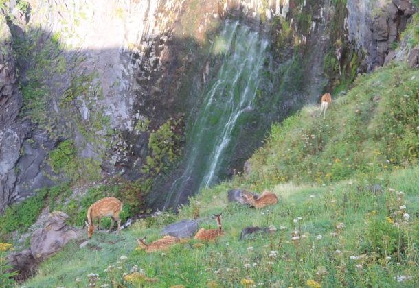 Shiretoko Furepe Waterfalls Nature Walk- pickup and gear rentals included!