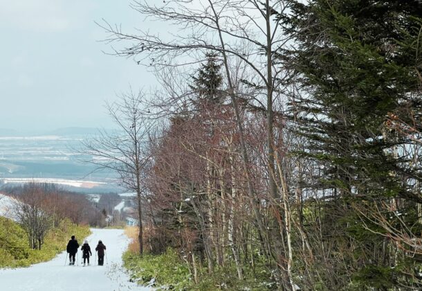 [Limited to 6 people per day] Kamishihoro Naitai Highland Ranch - Snowshoe Hiking Tour in Tokachi